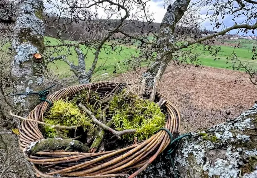 FB_IMG_1679853049230~2