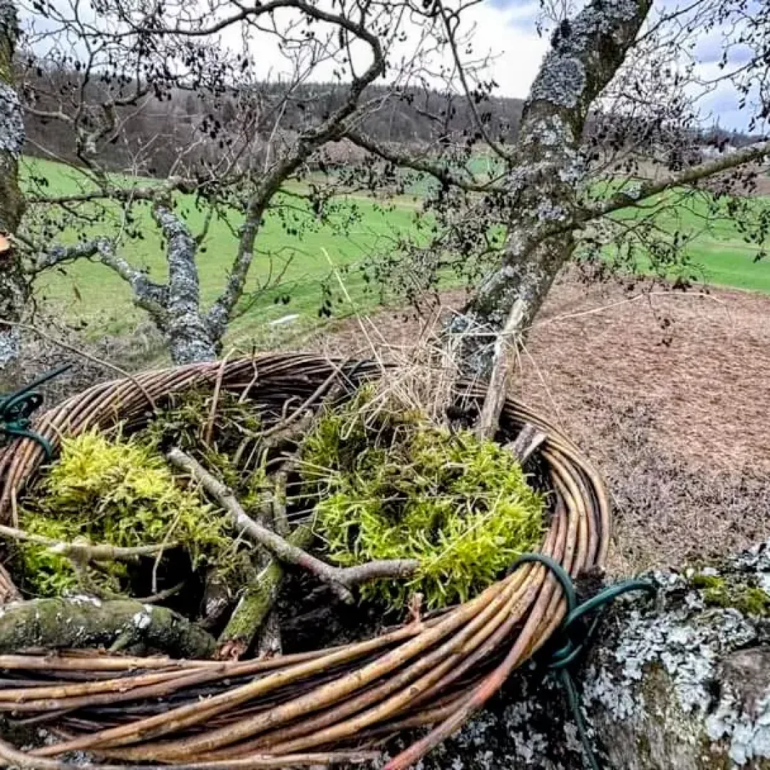 FB_IMG_1679853049230~2