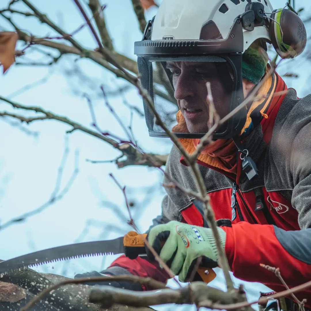 Reportage Baumpflege-396