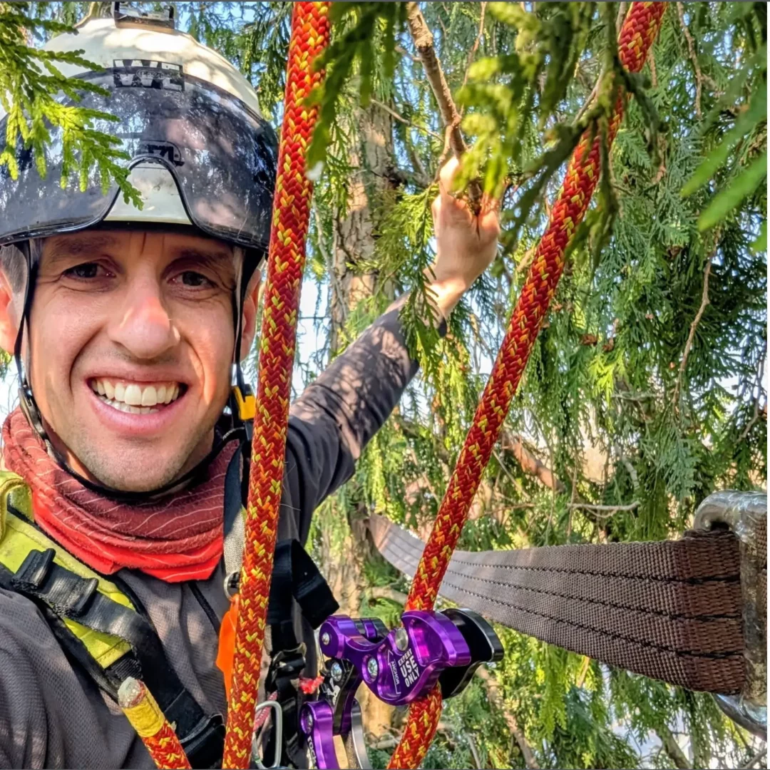 Screenshot 2026-04-20 at 16.45.48